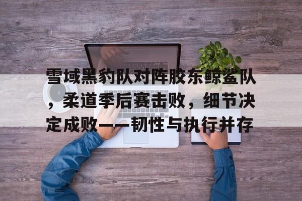 9体育-包含雪域黑豹队对阵胶东鲸鲨队，柔道季后赛击败，细节决定成败——韧性与执行并存的词条