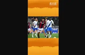 9体育-wbg阵容名单2025